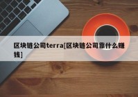 区块链公司terra[区块链公司靠什么赚钱]