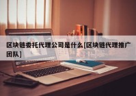 区块链委托代理公司是什么[区块链代理推广团队]